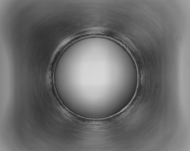 X0000112861164200908211315