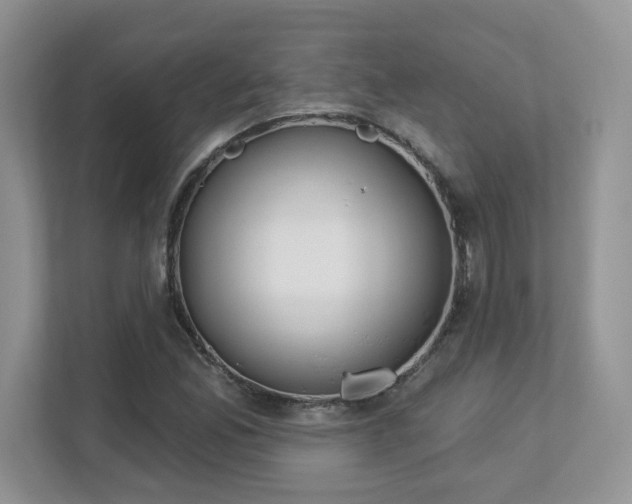 X0000112861165200908211315