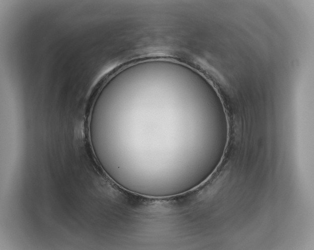 X0000112861166200908211315