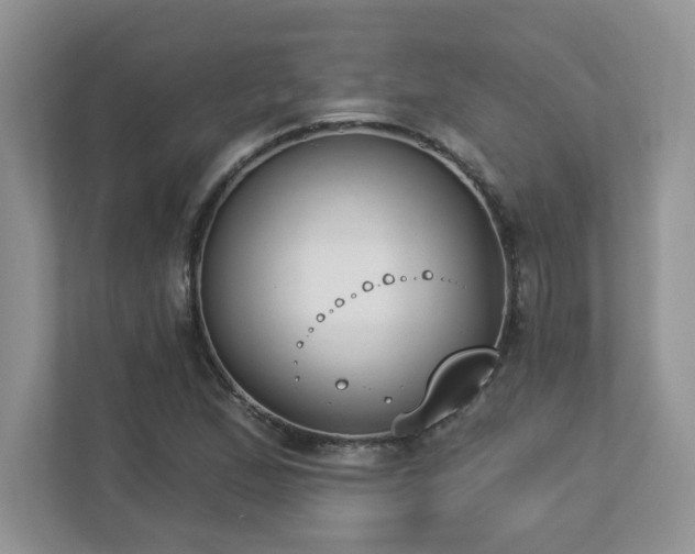 X0000112861167200908211315
