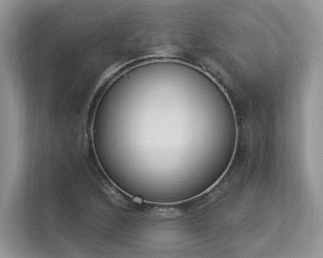 X0000112861168200908211315