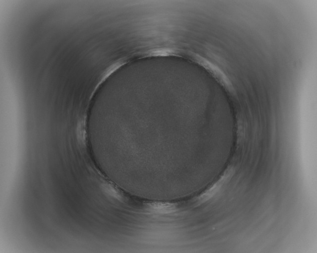 X0000112861170200908211315