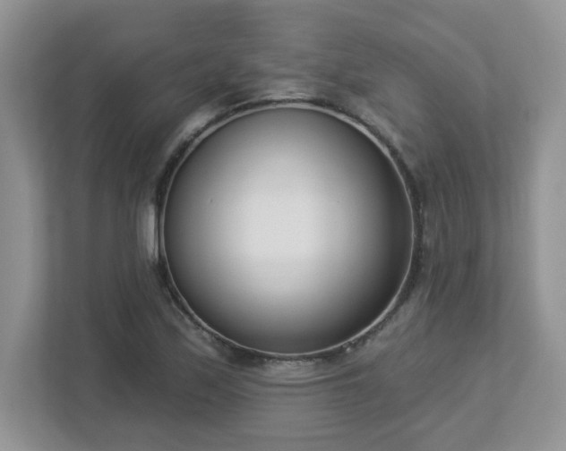 X0000112861171200908211315