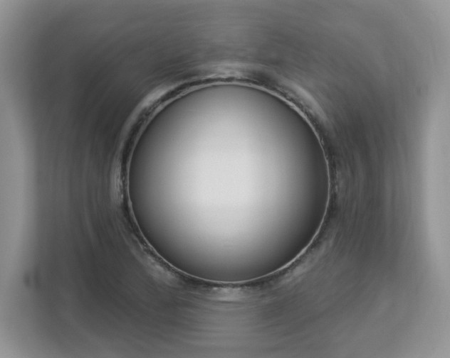 X0000112861172200908211315