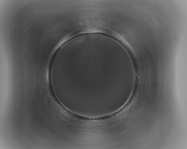 X0000112861173200908211315