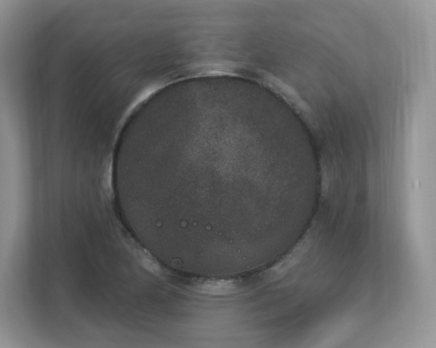 X0000112861174200908211315