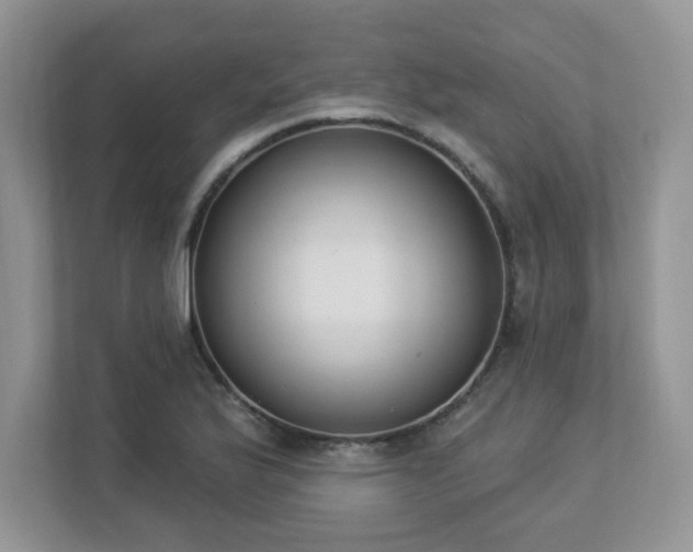 X0000112861175200908211315