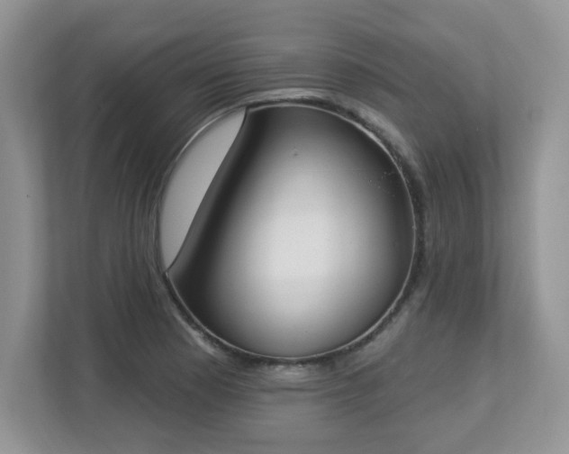 X0000112861177200908211315
