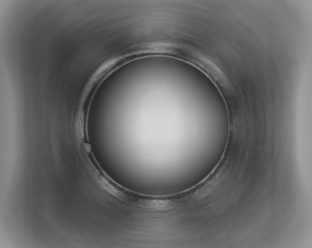 X0000112861180200908211315