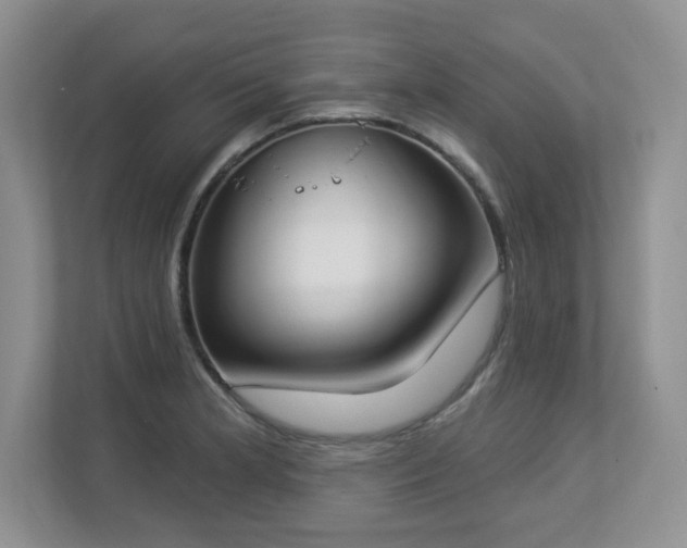 X0000112861181200908211314