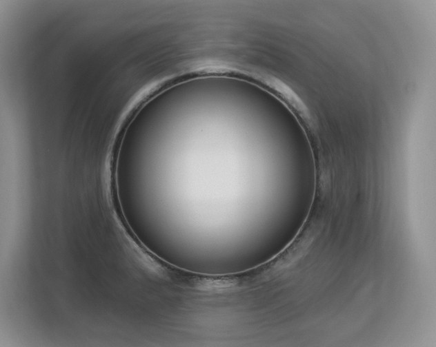 X0000112861183200908211314
