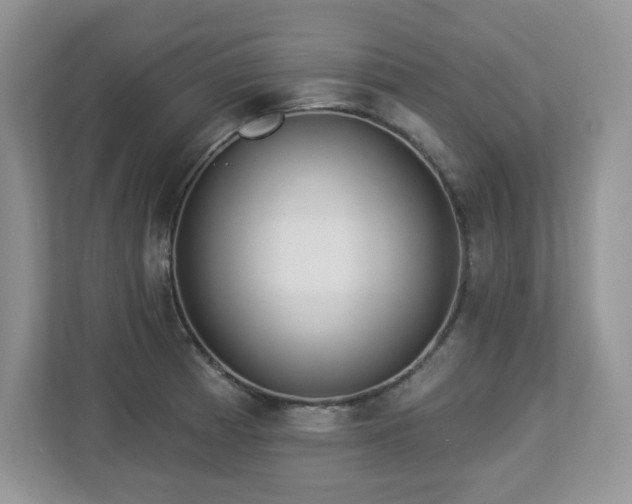 X0000112861185200908211314