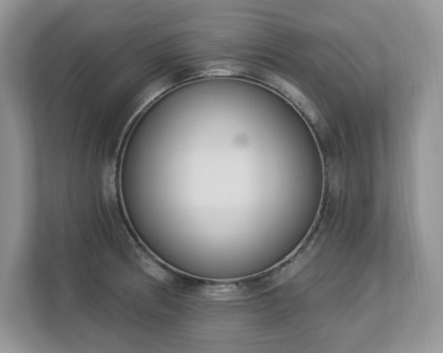 X0000112861186200908211314
