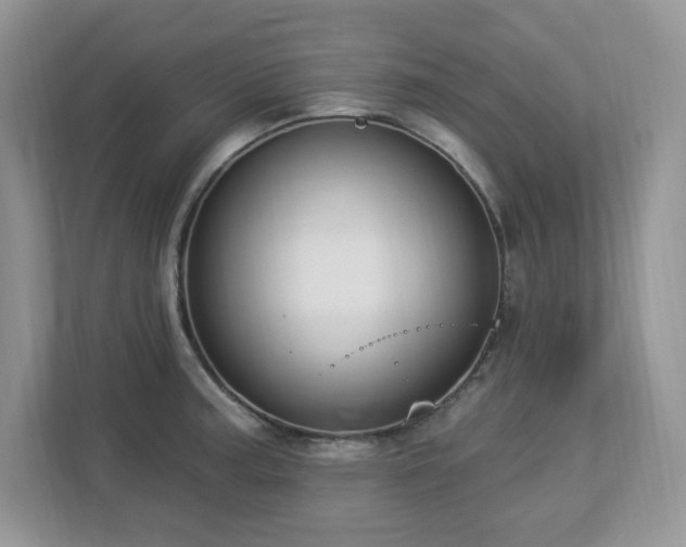 X0000112861187200908211314