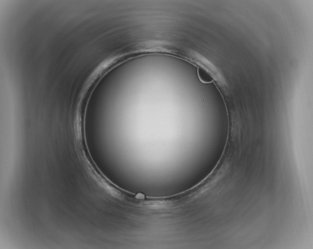 X0000112861188200908211314