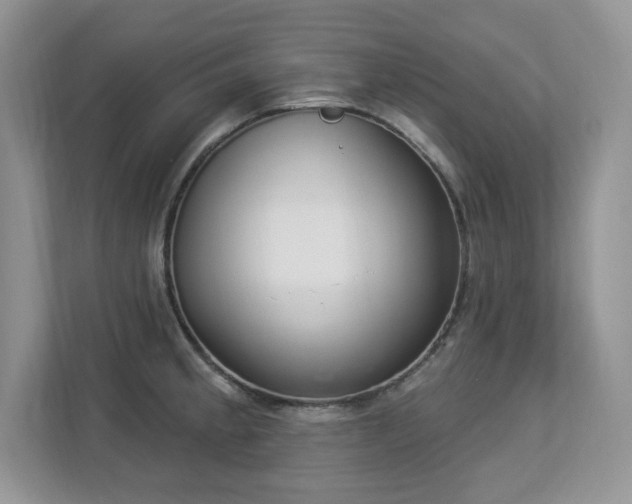 X0000112861189200908211314