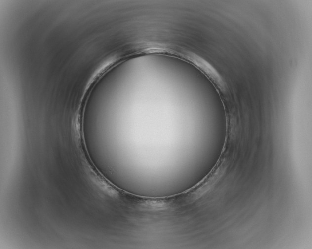 X0000112861190200908211314