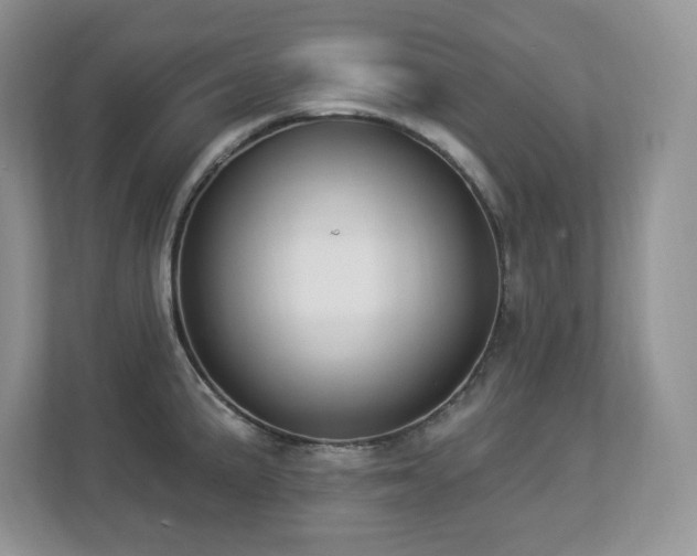 X0000112861191200908211314