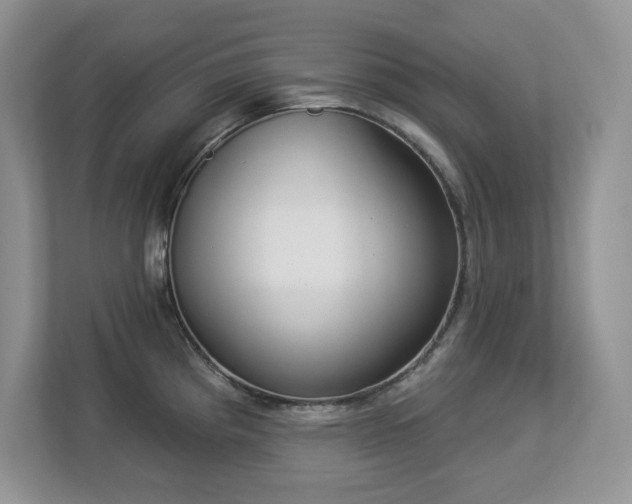 X0000112861193200908211314