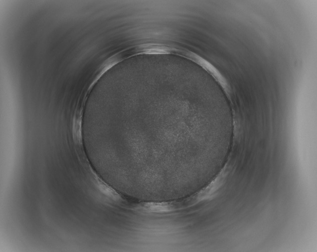 X0000112861194200908211314