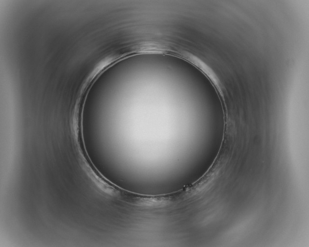 X0000112861195200908211314