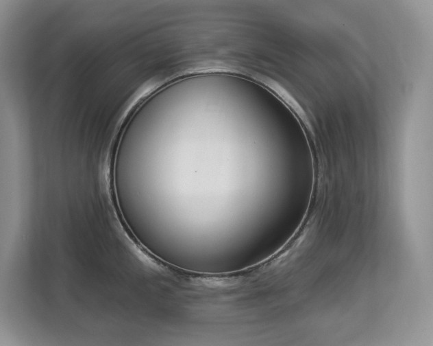 X0000112861197200908211314