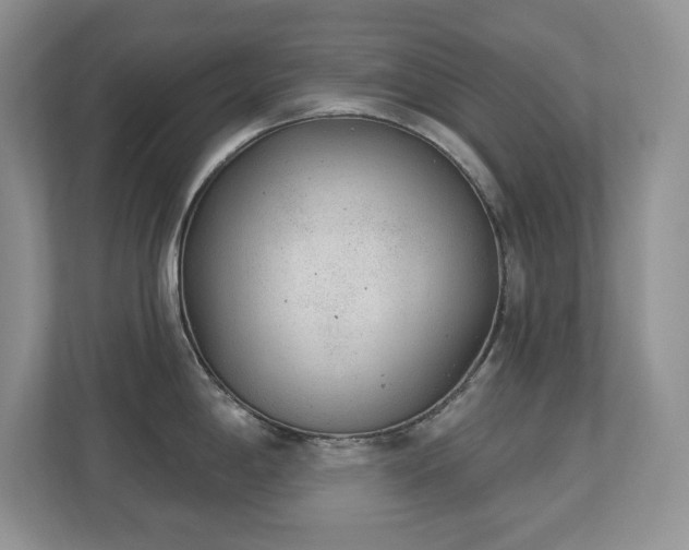 X0000112861198200908211314