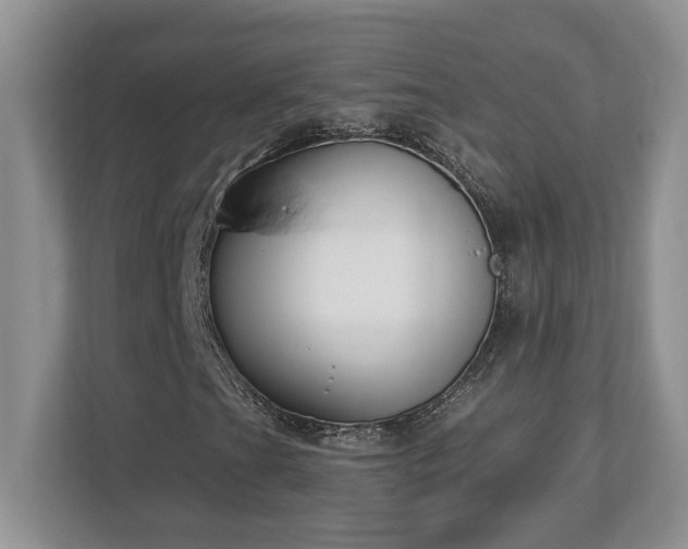X0000112861201200908211314