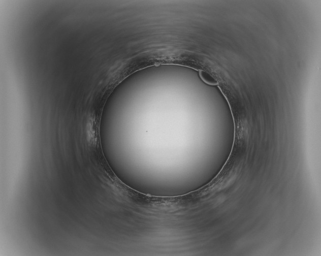 X0000112861202200908211314