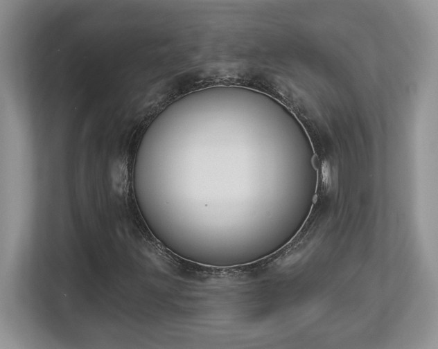 X0000112861203200908211314