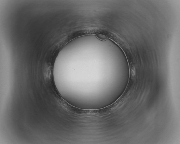 X0000112861204200908211314