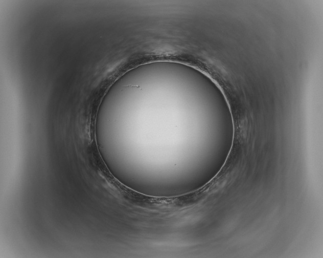 X0000112861205200908211314