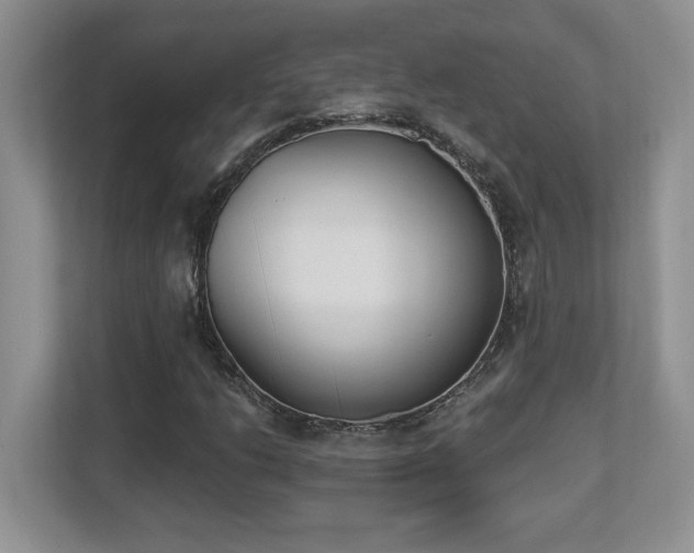 X0000112861206200908211314