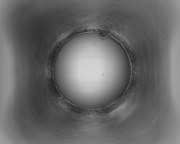 X0000112861207200908211314