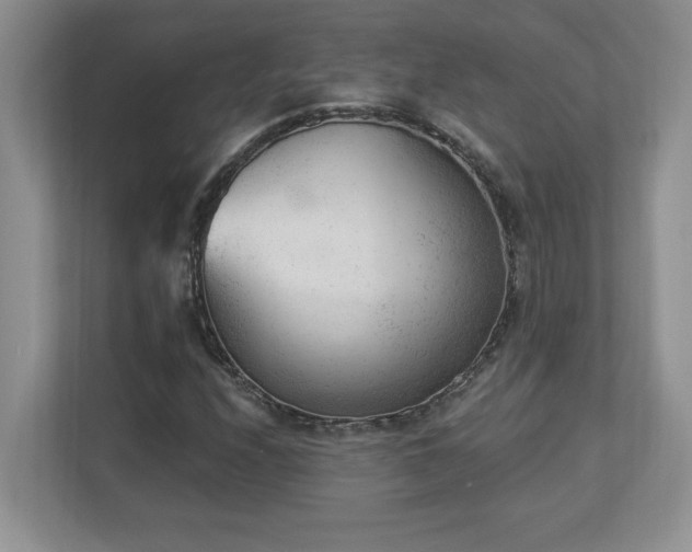 X0000112861208200908211314