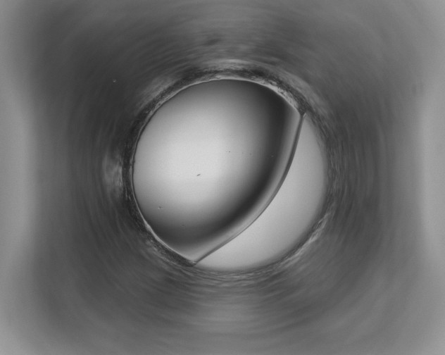 X0000112861209200908211314