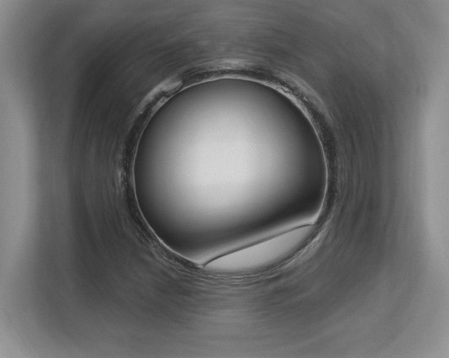 X0000112861210200908211314
