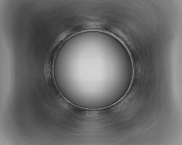 X0000112861211200908211314