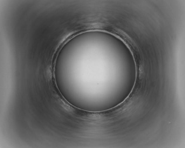 X0000112861212200908211314