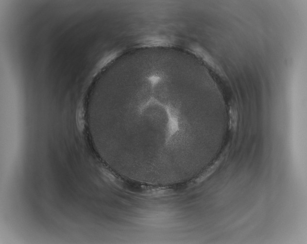 X0000112861213200908211314