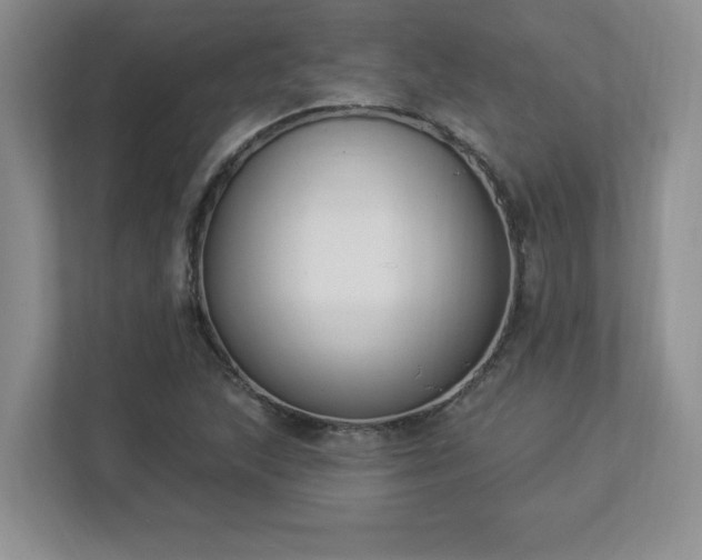 X0000112861215200908211314