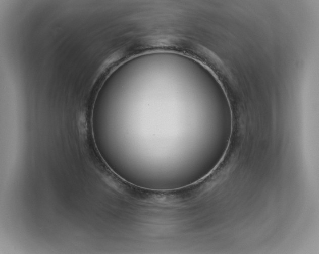 X0000112861218200908211314