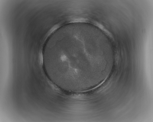 X0000112861221200908211314
