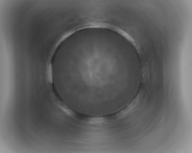 X0000112861223200908211314