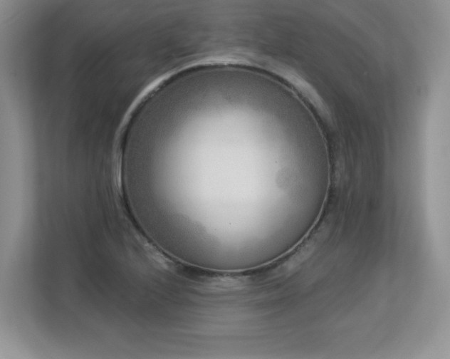 X0000112861224200908211314