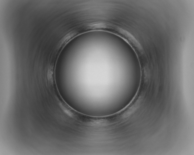X0000112861225200908211314