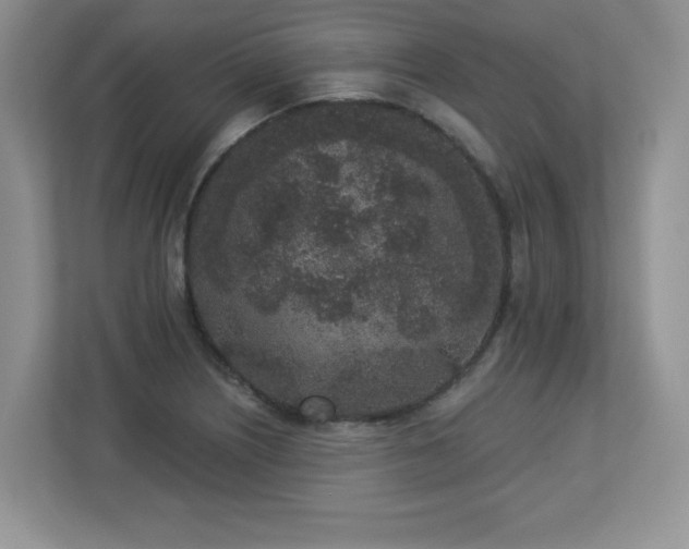 X0000112861226200908211314