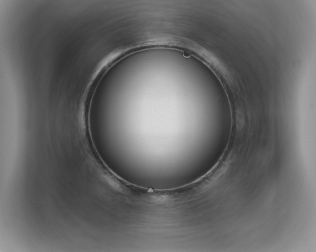 X0000112861230200908211314