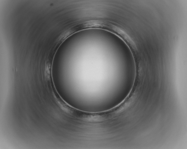 X0000112861233200908211314