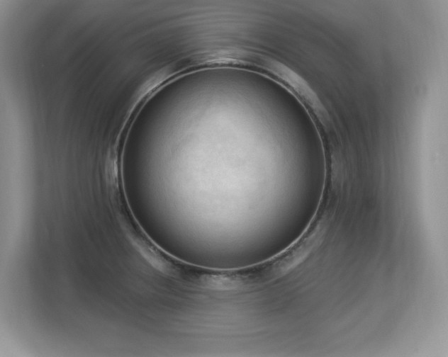 X0000112861234200908211314
